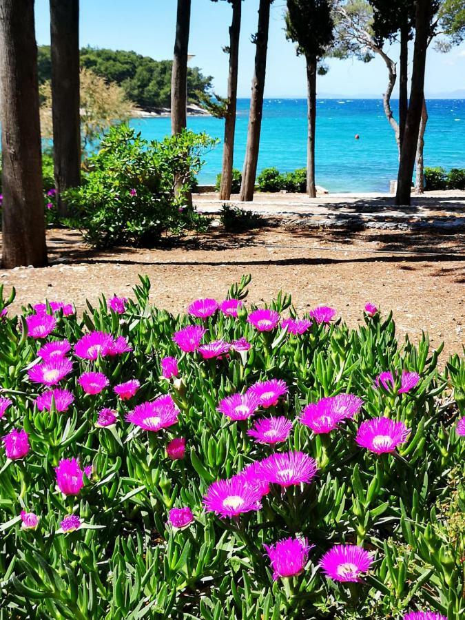 Holiday Home Pavarotti スペタル エクステリア 写真